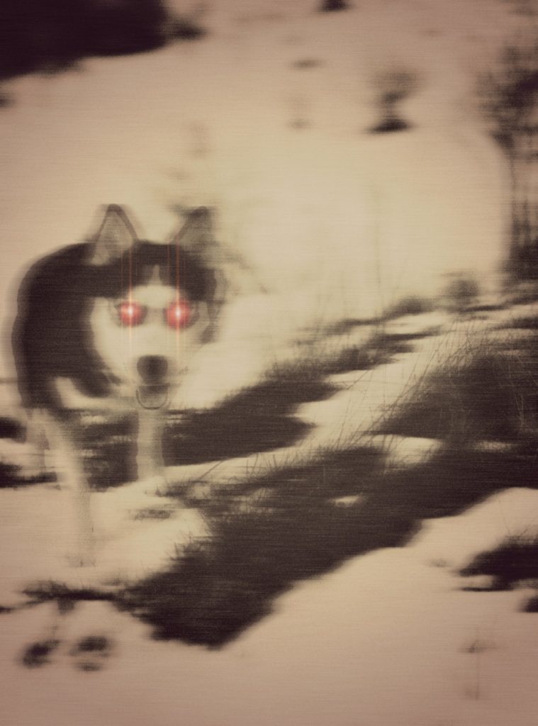 Baskerville