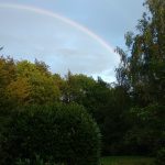 Wolken am Grashalm