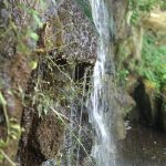 Eine stille Reise