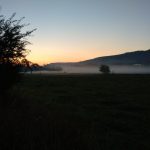 Schattenwelt