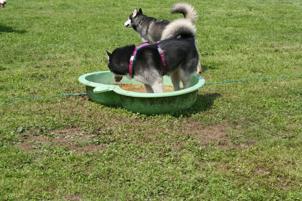 Wasser tanken