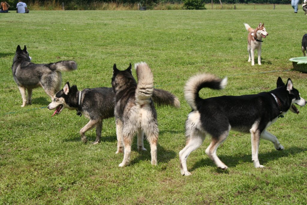 Gruppenkuscheln