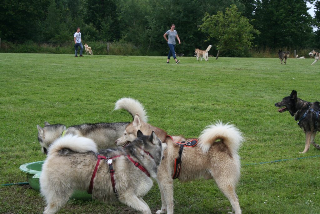 Gruppenkuscheln 2
