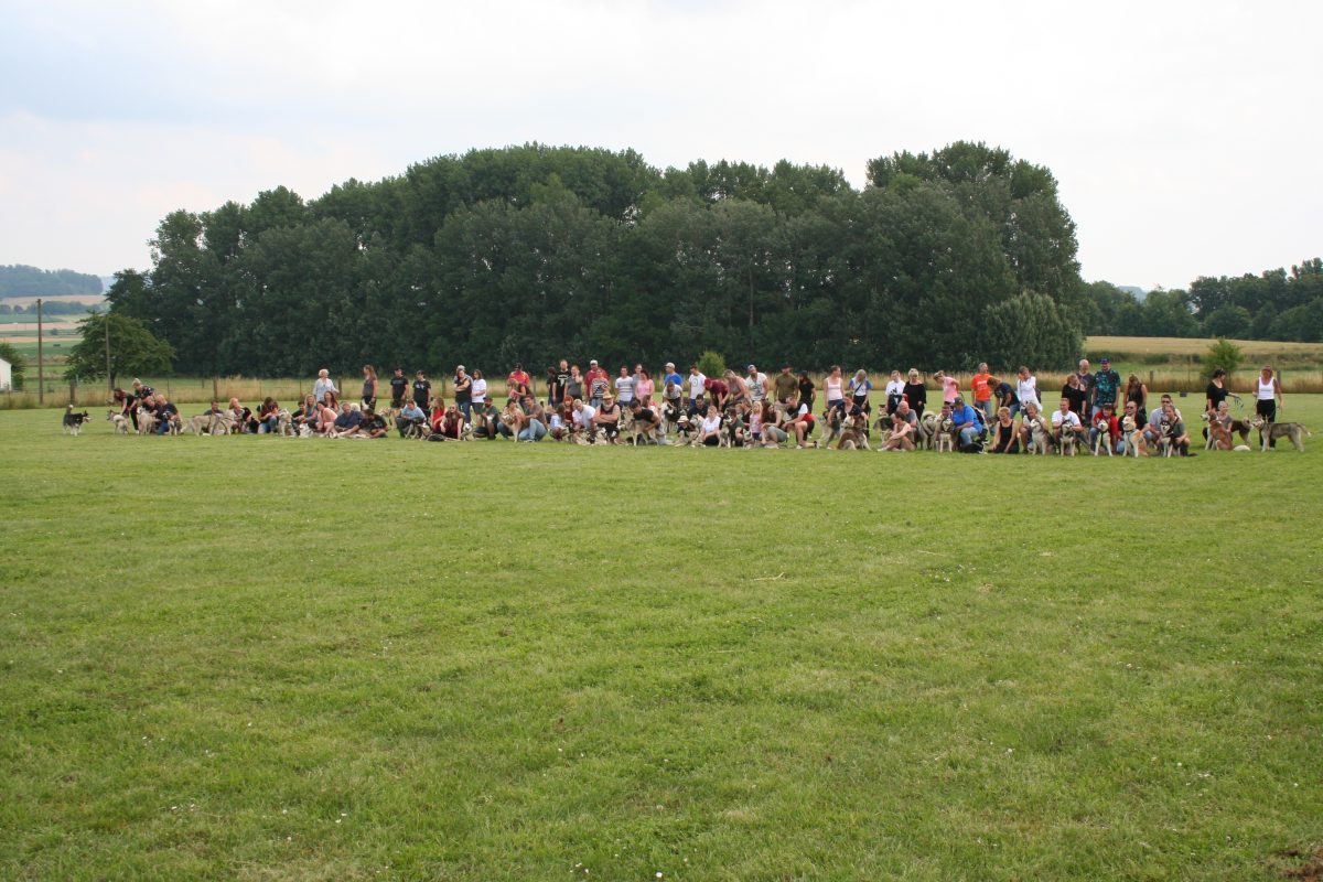 43. Huskytreffen