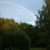 Wolken am Grashalm